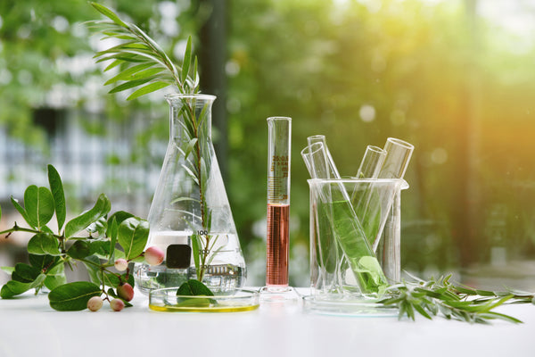 Vision and Botanical Medicine